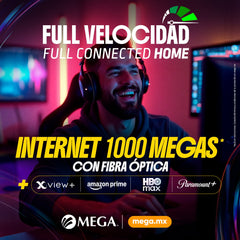 Instalación Express